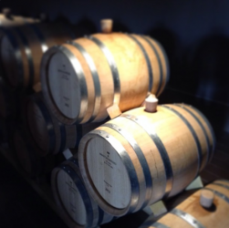botti antinori