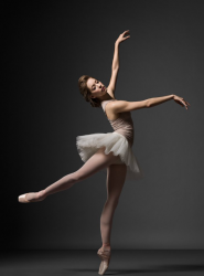 rebecca krohn