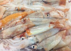 pescheria a Firenze: calamari