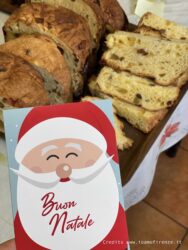 panettoni artigianali