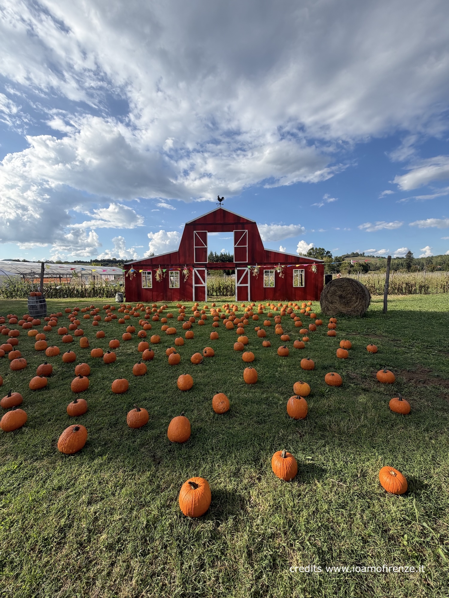 orto delle zucche di halloween a reggello quanto costa